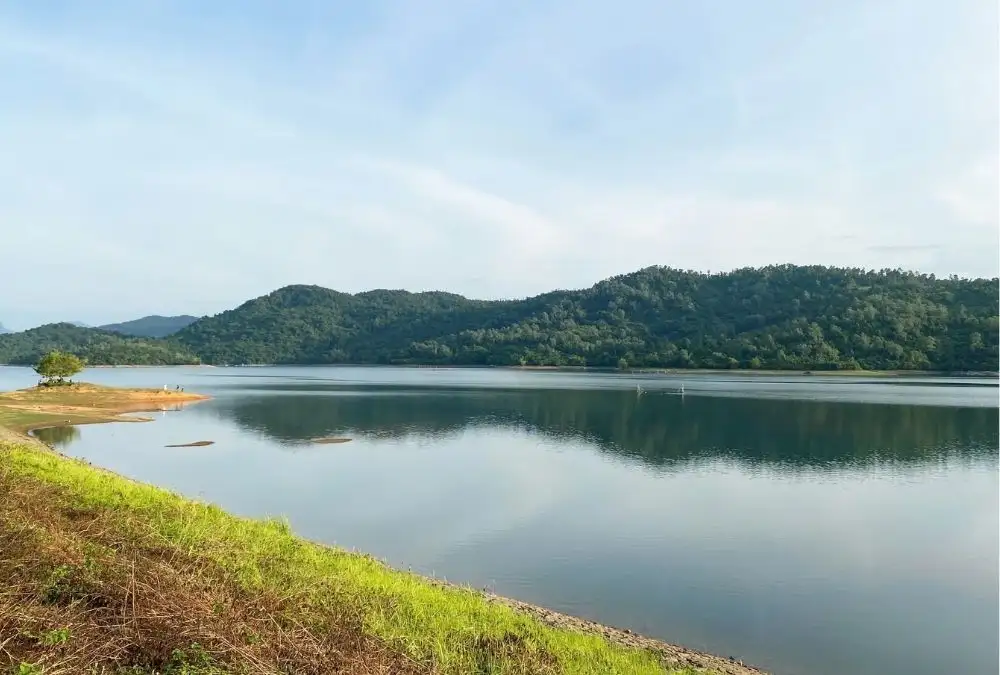 Phu Ninh Lake boat trips between forested islands, with scenic views and local specialties nearby (Source: Bao Tuoi Tre)