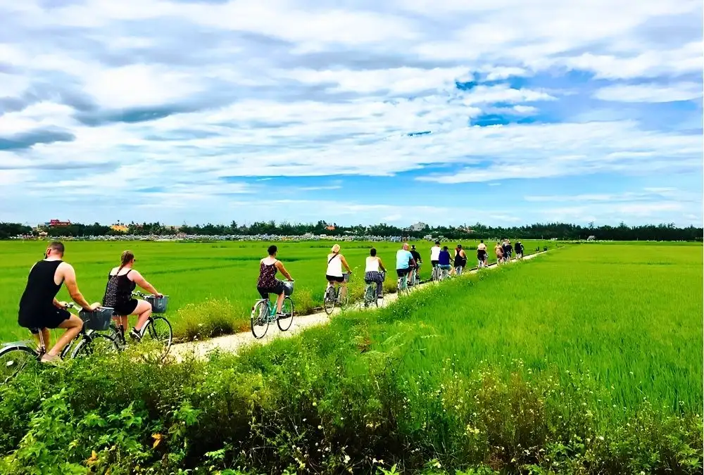 The countryside south of Hoi An offers a quieter introduction to Central Vietnam, with coastal villages and rural landscapes along the way (Source: vietnam.vn)