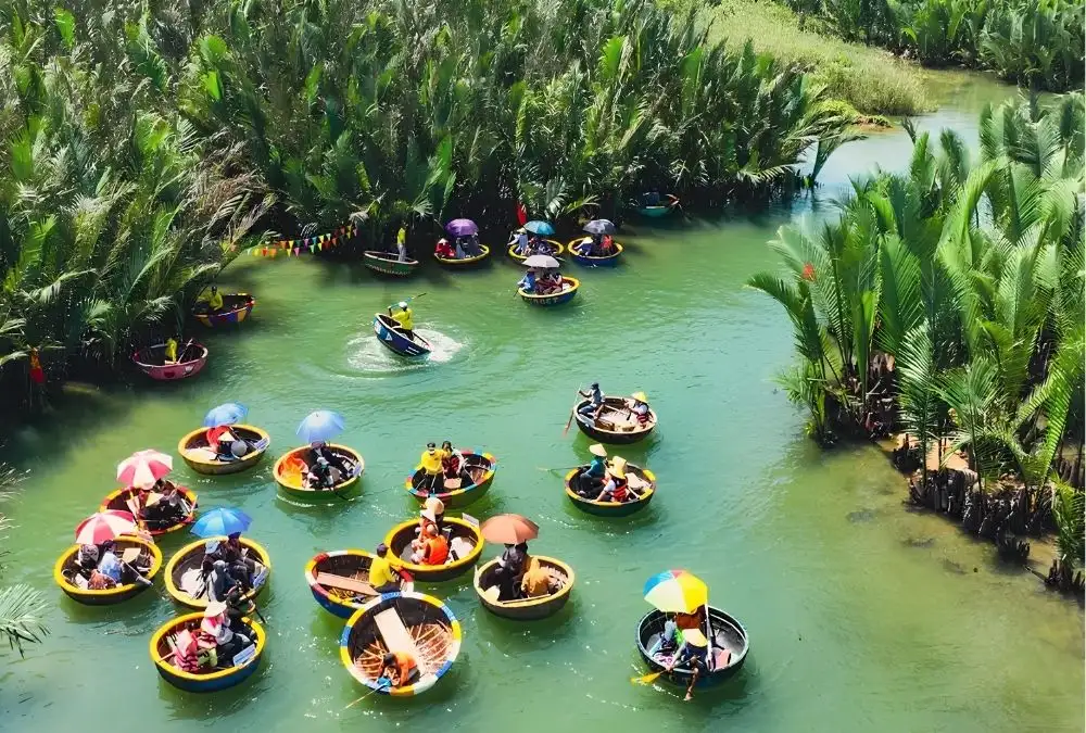 Traditional basket boats travelling through the Cam Thanh coconut forest 