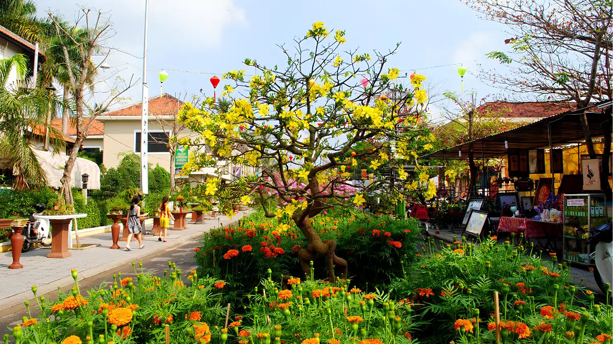Hoi An’s Tet flower market fills the streets with yellow chrysanthemums, plants, and New Year decorations (Source: Trung tam Bao ton Di san Hoi An)