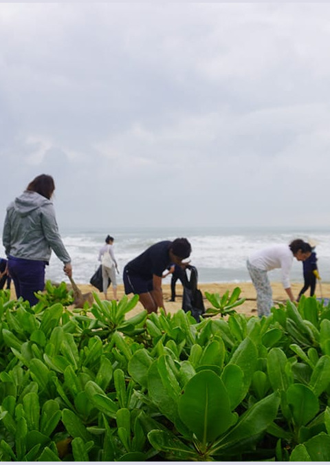 Green day Bliss Hoi An