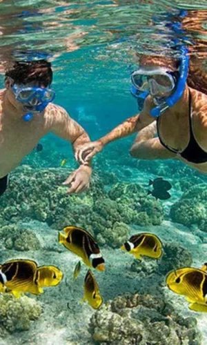 Cham islands snorkeling