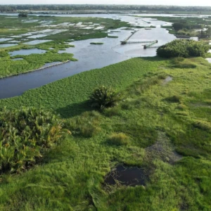 River serenity – cultural discovery