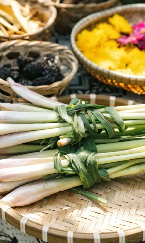 Herbal ingredients used to make Mot Drink Hoi An including lemongrass and lotus leaf (Source: afamily.vn) Herbal ingredients used to make Mot Drink Hoi An including lemongrass and lotus leaf