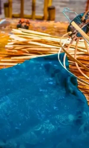 The basic materials used to make a traditional lantern during creative team building activities (source: Adventures with NieNie) The basic materials used to make a traditional lantern during creative team building activities (source: Adventures with NieNie)